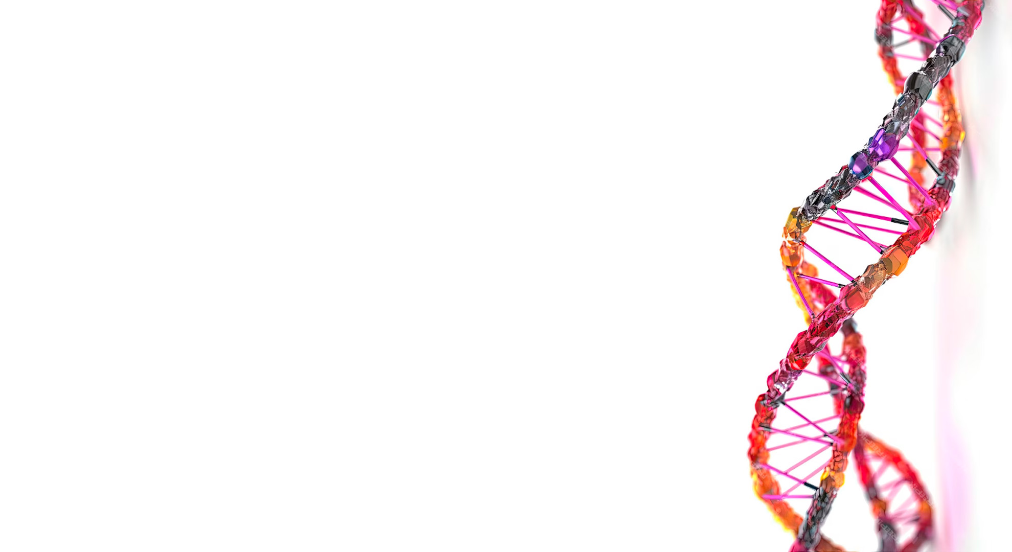 main_banner