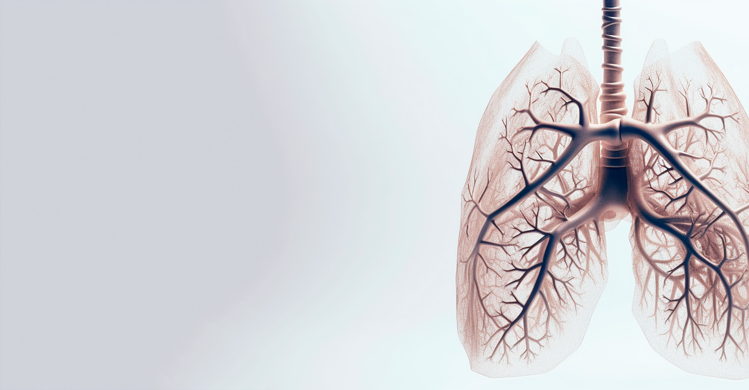 main_banner